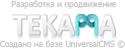 Web-студия TEKAMA
